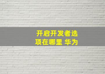 开启开发者选项在哪里 华为